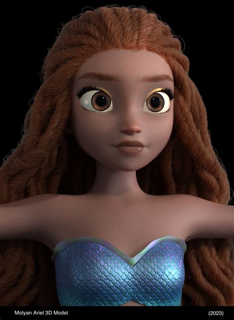 Ariel Model